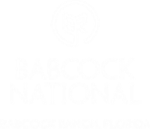 Babcock_National_Logo_%28white%29